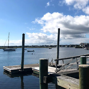 Meet your Posher, Neil